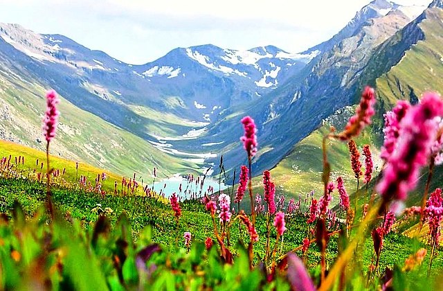 EXOTIC KASHMIR PACKAGE - Super Deluxe Package